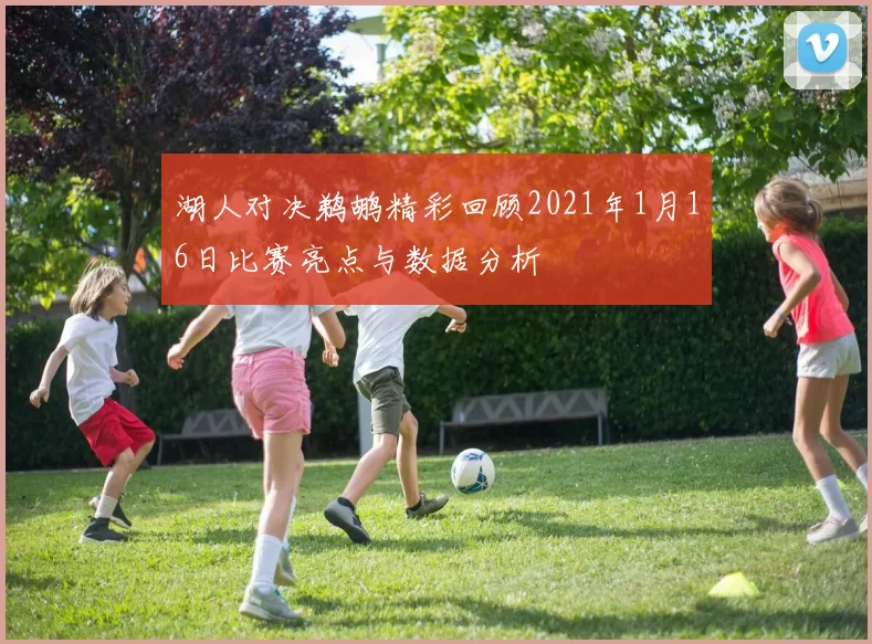 湖人对决鹈鹕精彩回顾2021年1月16日比赛亮点与数据分析